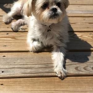 Meet your Posher, Jeff